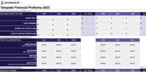 ProForma Template Image - Scorecard.vc